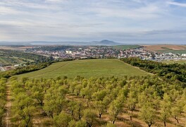 Cykloturistický zájezd na Jižní Moravu - foto č. 107