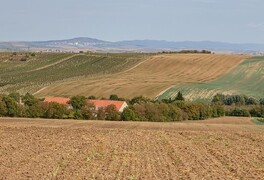 Cykloturistický zájezd na Jižní Moravu - foto č. 113