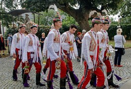 Cykloturistický zájezd na Jižní Moravu - foto č. 115