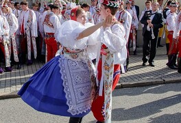 Cykloturistický zájezd na Jižní Moravu - foto č. 119