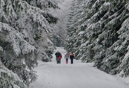 Předvánoční turistický výlet do Sněžného - foto č. 2
