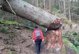 Jarní turistický pochod Vysočinou - foto č. 8