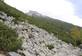 Turistický zájezd - Vysoké Tatry 2010 - foto č. 40