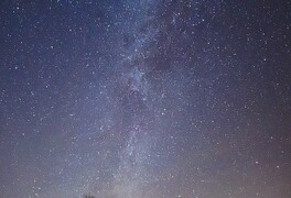 Hlasování v anketě Strom roku 2025 pomalu míří do své druhé poloviny - foto č. 3
