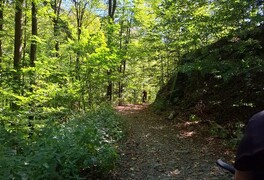 Cykloturistický výlet - Vítkovská vrchovina - foto č. 56