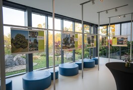 Strom roku 2025 - fotografie ze slavnostního vyhlášení - foto č. 4