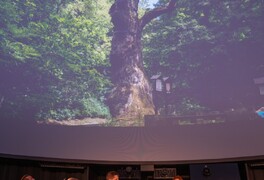 Strom roku 2025 - fotografie ze slavnostního vyhlášení - foto č. 35