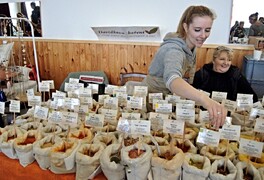 Podzimní pustokamenický jarmark - foto č. 13