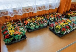 Den matek 2026 - foto č. 1