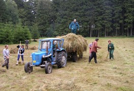 Poděkování za brigádu V ZÁDUŠNÍM - foto č. 4