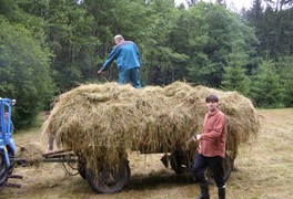 Poděkování za brigádu V ZÁDUŠNÍM - foto č. 6