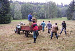 Poděkování za brigádu V ZÁDUŠNÍM - foto č. 14