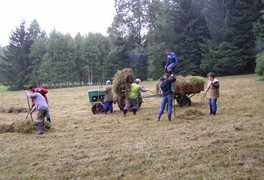 Poděkování za brigádu V ZÁDUŠNÍM - foto č. 15