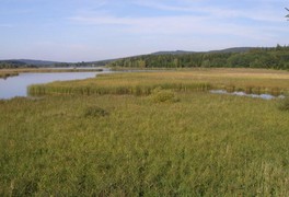 Cykloturistický zájezd - Podbrdsko 2011 - foto č. 16