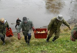 Výlov kamenického rybníka - foto č. 7