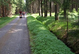 Turistický výlet pro děti a rodiče - Březiny 2012 - foto č. 9