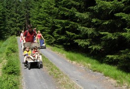 Turistický výlet pro děti a rodiče - Březiny 2012 - foto č. 10