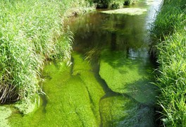 Turistický výlet pro děti a rodiče - Březiny 2012 - foto č. 19