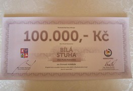 Slavnostní vyhlášení soutěže VESNICE ROKU 2012 v Pardubickém kraji - foto č. 23