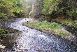 Turistický zájezd do Vysokých Tater a Slovenského ráje 2012 - foto č. 6