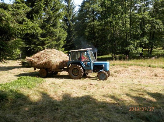 Poděkování za brigádu V ZÁDUŠNÍM