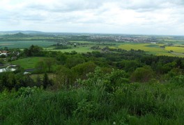 Školní výlet do Prachovských skal - foto č. 12