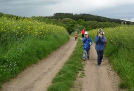 Školní výlet do Prachovských skal - foto č. 27