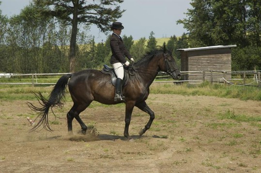 Příměstský tábor - čtvrtek